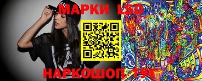 Альфа ПВП Нальчик