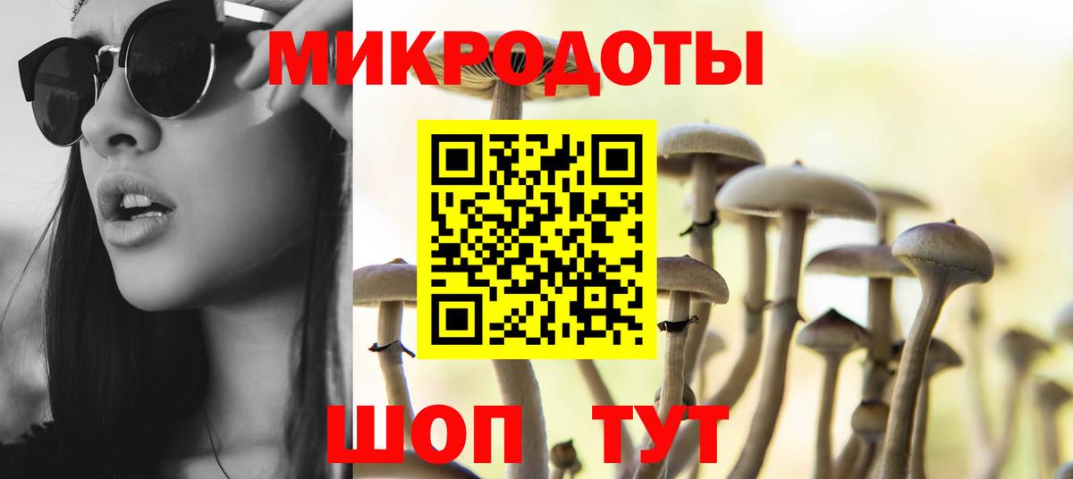 Омск  Псилоцибиновые грибы мухоморы  Вход с VPN  Галлюциногенные грибы прущие грибы 